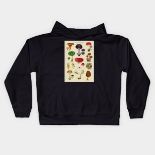 Vintage Fungi Chart Kids Hoodie